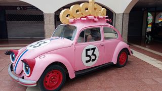 GC-CC Cita (Pl Ingles) 2026-64.jpg